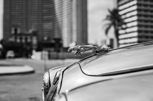 20Bets Kazino Android/iOS programa